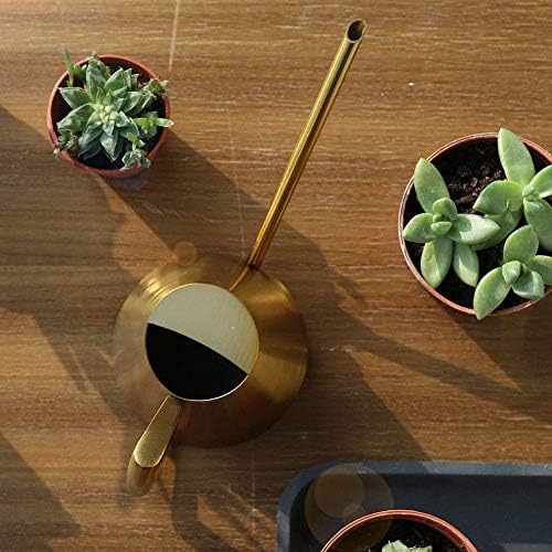 Watering Can Stainless Steel Long Spout 900ml Indoor Use - Image 5
