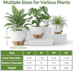 Plant Pots, 12" 10" 6" 8" Inch Self Watering Pots with Water Level Indicator, Set of 5 Flower Pots Indoor with Drainage Holes, Modern Planters for Indoor Outdoor Plants, Room & Office Décor - Image 4