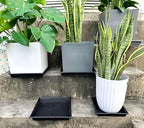 NIMYAU Square Plant Saucer 18 Inch 4 Pack, Plant Stand Plant Trays for Pots Heavy Duty Plastic Plant Saucers for Indoors Outdoors, Flower Pot No Holes Terracotta Plant Lover Gardening Gifts - Image 3