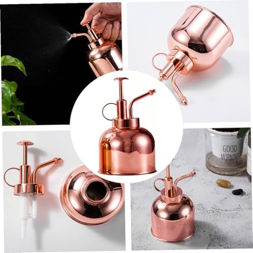 300ml Vintage Stainless Can Watering Pump, Mister Steel Plant - Image 3