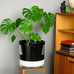 D'vine Dev Self-Watering Black Terracotta Planter Pot, 10 in, 37-X-D-3 - Image 5