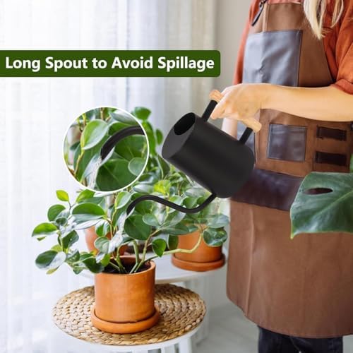 Watering Can for Indoor Plants, 35oz/1000ml Metal Stainless Steel Small Watering Can with Long Spout for House Plants Succulents Bonsai Indoor Gardening - Image 3