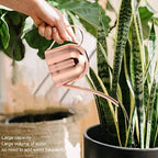 Indoor Outdoor Stainless Steel Watering Cans, Watering Can Metal with Long Spout for House Plants Long Spout Water Can for Succulent Bonsai Garden Flower - Image 6