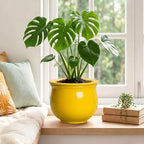 8 Inch SelfWatering Plant Pots, Ceramic Flower Pots, Yellow - Image 4
