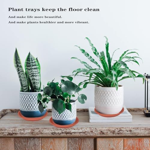 Plant Saucer - 5 Pack 14 Inch Durable Plastic Plant Trays, Terracotta - Image 3