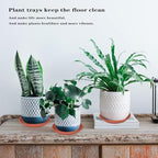 Plant Saucer - 5 Pack 14 Inch Durable Plastic Plant Trays, Terracotta - Image 3