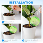 M METERXITY 3-Pack Plant Self Watering Globes, 5.2 oz Plastic Bubble Water Bulbs Top Fill for Indoor/Outdoor Plants, Self Watering Spikes Slow Release Terracotta [Green] - Image 4