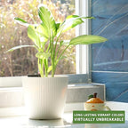 Dexceder 11x10 Self Watering Planters Indoor (2 Pack, White) - Image 6