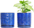 Ceramic Pots for Indoor Plants with Drainage Holes and Saucers, Ceramic Planter for Plants, Flower Pot - Set of 2 by YFFSRJDJ