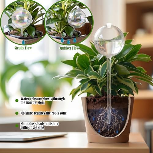 Chumia 4 Pcs 23 oz Glass Plant Self Watering Globes Large Iridescent - Image 6
