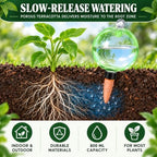 2 Pack 28 oz XXL Extra Large Self Watering Globes to 3+ Weeks Watering - Image 5