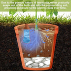 Blushtier 2 Pcs 34 oz Ollas Self Watering Pots, Large Terracotta Waterer - Image 3