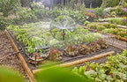 Gardena Micro-Drip-System Drip Irrigation Set Vegetable/Flower Bed (60 m²): Starter Set, Ready to use, Water-Saving Irrigation System, Simple & Flexible Connection Technology (13450-20) - Image 4