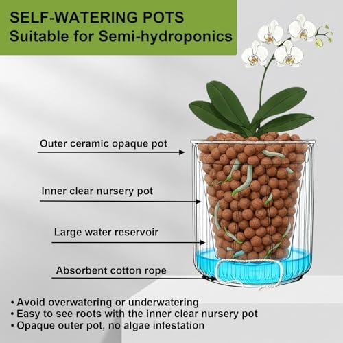 Orchid Pot,Ceramic Plant Pot with Clear Orchid Pot,6 inch,Black - Image 4