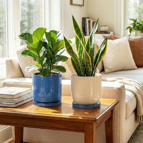 Eightpot Plant Water Catcher Tray 7.5 Inch, 2 Pack Ceramic Plant Saucer for Indoor Outdoor, Round Plant Plates to Catch Water, Modern Plants Drainage Tray, Decorative Plants Dish, Blue - Image 4
