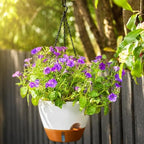 ZMTECH 12 Inch Large Self Watering Hanging Planters for Indoor Outdoor Plants - Water Level Indicator & Removable 60 Oz Reservoir, 1 Pack Plastic Hanging Basket for Window Porch Garden Balcony, White - Image 3