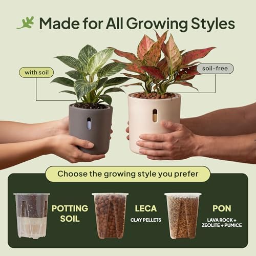 Self Watering Planters, 4 Inch Pot with Water Reservoir, Nylon Wick & Clear Inner Pot, Bottom Water System | Self Watering Pots for Indoor & Covered Outdoor Plants | Cream | Pack of 4 - Image 6