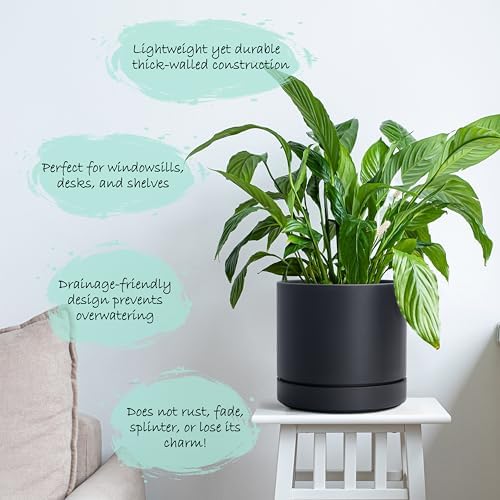 Phoenix Vine 6 Inch Planter Pot with Drainage Hole & Saucer, Deep Water Catch Tray, Straight Cylindrical Round Pot for Plants, Matte Black, Pack of 4, 23-C-S-4 - Image 5
