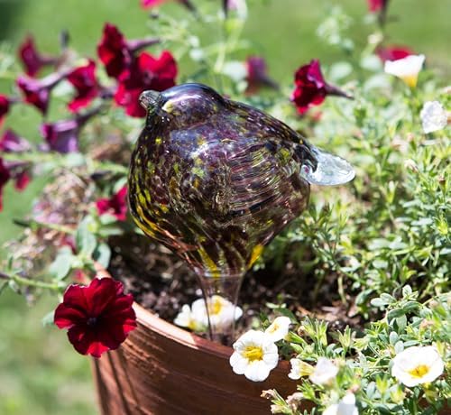 Echo Valley BPQDS Bird Quencher; Brown, Blue and Green 9.5 x 5 Inches Glass Self-Watering Plant Stake; Set of 3 - Image 5