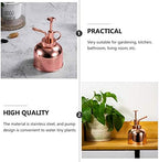 Vintage Plant Watering Bottle 300ml with Pump Stainless Steel - Image 3