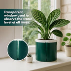 D'vine Dev Self Watering Terracotta Pot, Teal Glass Cup, 8 in, 37-X-C-5 - Image 7