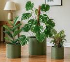 D'vine Dev 3-Pack Plastic Pots & Saucers, 8/10/12 in, Olive, 74-V-I-5 - Image 2