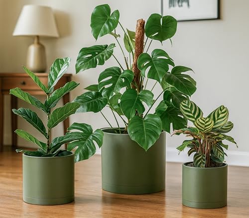 D'vine Dev 3-Pack Plastic Pots & Saucers, 8/10/12 in, Olive, 74-V-I-5 - Image 2