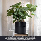 Phoenix Vine 8 Inch Self-Watering Planter Pot with Terracotta Insert, Deep Water Reservoir, and Ceramic-Alike BPA-Free Plastic Planter Pot for Plant, Modern Planter for Houseplants, Black, 53-A-T-2 - Image 5