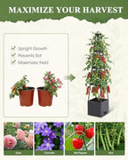 4 Pack Raised Garden Bed Planter Box with Trellis, 57" Self-Watering Tomato Cage Planters for Climbing Plants Vegetable Vine Flowers Outdoor & Indoor (57x9.8x9.8IN) - Image 6