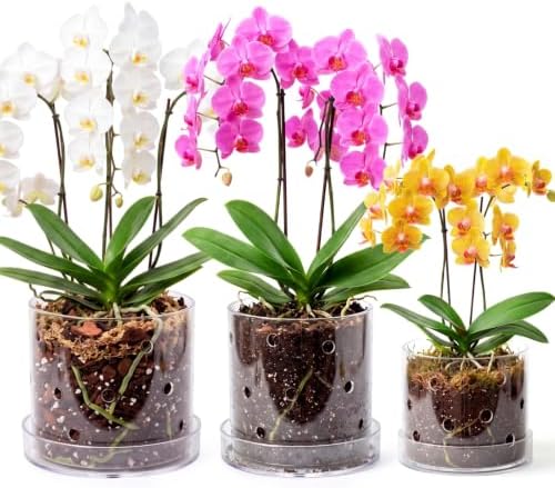 4/5/6 Inch Clear Acrylic Orchid Planter Pot with 360° Round Holes & Tray by Yiyiring