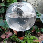 Automatic Plant Watering Globes 500ML Top Fill Drip Irrigation - Image 5