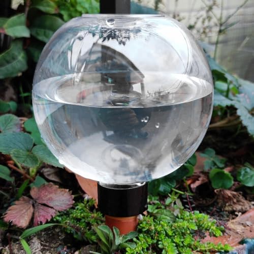Automatic Plant Watering Globes 500ML Top Fill Drip Irrigation - Image 5