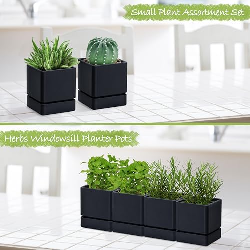 D'vine Dev 4-Pack Plastic Herb Planter Pots, 4 in, Black, 76-Y-B4-1 - Image 3