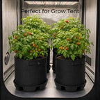 6 Pack Self-Watering Plant Pot Bases with 5 Gallon Grow Bags, Bottom Watering Plant Saucers with Wicking Irrigation System, Auto Watering Planter Kit for Indoor Outdoor Greenhouses Grow Tents Gardens - Image 7