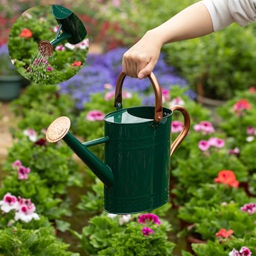 Gardenised 1 Gallon Galvanized Metal Watering Can with Removable Long Spout & Sprinkler Head for Indoor & Outdoor Use Ideal for Garden Flowers Potted Plants Houseplants Modern Home Accessories, Green - Image 3