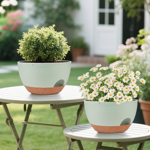 Vanslogreen Plant Pots 12inch Self Watering Pots, Set of 2 Plastic Planters with Drainage Holes and Saucers, Flower Pots for Indoor Outdoor Plants (Green) - Image 6