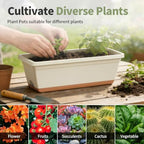 Window Box Planter, 6 Pack Plastic Vegetable Flower Window Planters Boxes 16 Inches Rectangular Flower Pots with Drainage Holes and Saucers (White) - Image 6