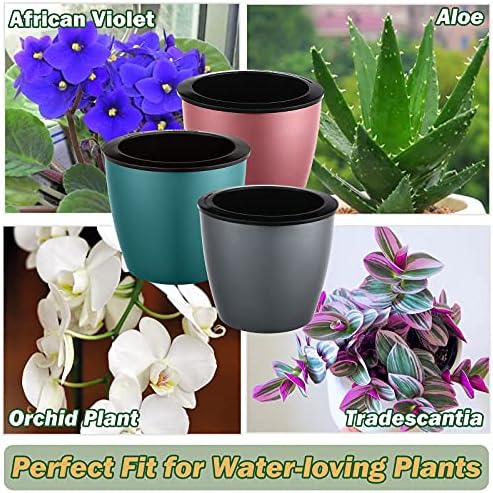 Planterhoma 6.7 Inch Self Watering Pots for Indoor Plants, 6 Packs African Violet Pots, Black Wick Pot with Drainage Holes, Self Watering Planters for Orchid, Devil's Ivy, Silver/Blue/Rose Gold - Image 3