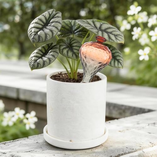 12 oz Plant Watering Globes, Red Glass Self Watering Bulbs Top Fill with Terracotta Spikes Stake, Self Watering Planter Insert Vacation Automatic Plant Waterer Device for Indoor & Outdoor 2Pack - Image 2
