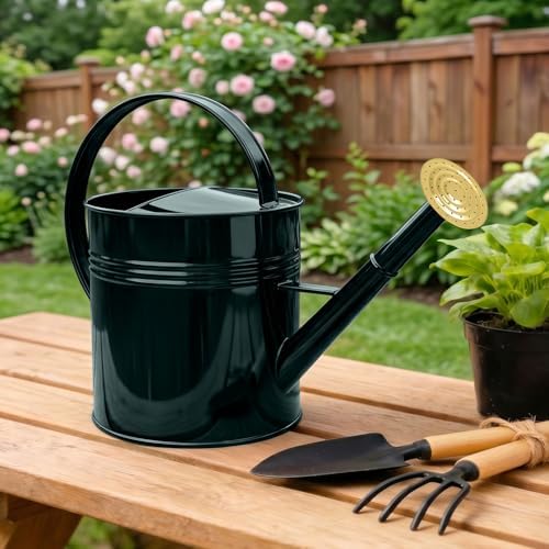 LONGRUN 2.5 Gallon Dark Green Metal Watering Can for Plants and Garden with Removable Spout, Made of Galvanized Iron - Image 6