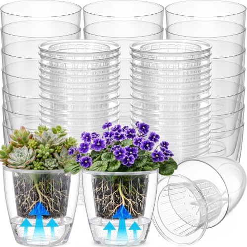 Self Watering Plant Pots, 4.3'', Transparent, 54 Pcs by Ferrochef
