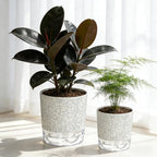 6 Pack Self Watering Pots for Indoor Plants, 4+5.5+6.3 Inch Self Watering Plant Pots Set, Flower Pots with Wick Rope and Reservoir for African Violet, Spider Plant, Orchid - Crack Texture - Image 7