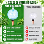 2 Pack 28 oz XXL Extra Large Self Watering Globes to 3+ Weeks Watering - Image 3