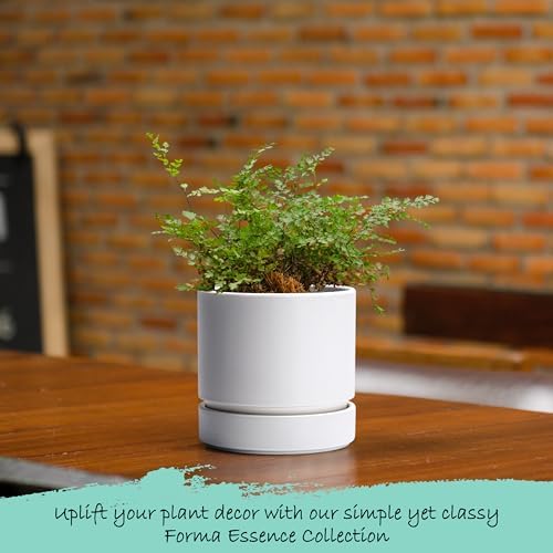 Phoenix Vine 4 Inch Planter Pot with Drainage Hole & Saucer, Deep Water Catch Tray, Straight Cylindrical Round Pot for Plants, Matte White, Pack of 6, 23-B-R-6 - Image 6