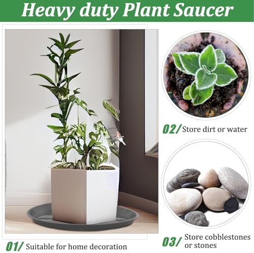 Eccliy 6 Pack Plastic Plant Saucer, Round, 23 Inch, Gray - Image 5