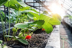 Dripworks Premium Garden Bed Irrigation Kit for Watering Plants in Raised Garden Bed - Waters Upto 3 Beds (4'x8') | Agricultural Grade Components | Trusted Brand Since 1991 - Image 5