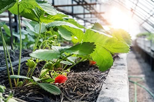 Dripworks Premium Garden Bed Irrigation Kit for Watering Plants in Raised Garden Bed - Waters Upto 3 Beds (4'x8') | Agricultural Grade Components | Trusted Brand Since 1991 - Image 5