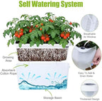 Oliz Window Box Planter 4 Packs, 14 Inches Rectangle Flower Pots with Breathable Drainage Holes, Pots for Vegetables, Herbs, Flowers, Garden Windowsill Balcony (Translucent White) - Image 3