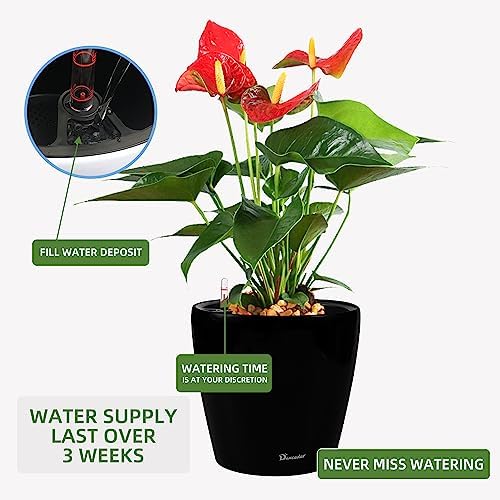 Dexceder 13x12 Self Watering Planter with Wheels (Black Matte) - Image 5