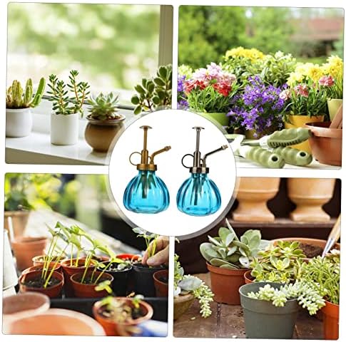 HANABASS 2pcs Vintage Glass Watering Can and Nozzles for Plant Misting and Watering Elegant Decorative Spray Bottles for Indoor and Outdoor Use - Image 3